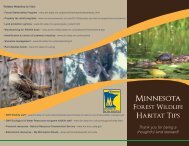 Minnesota Forest Wildlife Habitat Tips - My Minnesota Woods