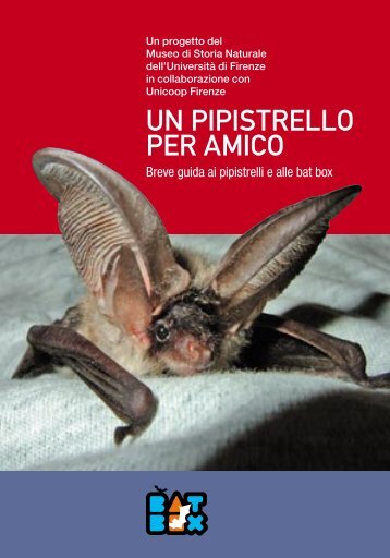 un pipistrello per amico - Museo di Storia Naturale - UniversitÃ  degli ...
