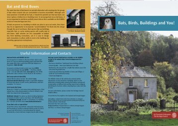 Bats, Birds, Buildings and You.pdf - The Heritage Council