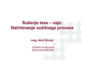 NaÄrtovanje suÅ¡ilnega procesa - Oddelek za lesarstvo