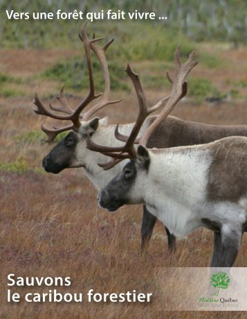 Sauvons le caribou forestier - Nature Québec