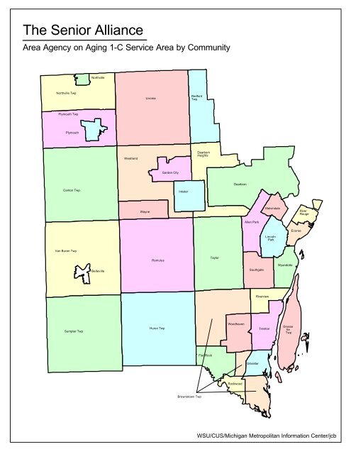 Demographic Profile of Senior in Wayne County, Michigan