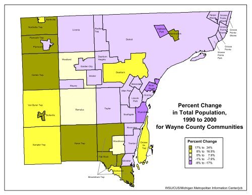 Demographic Profile of Senior in Wayne County, Michigan