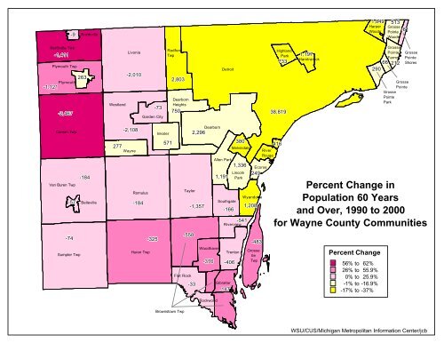 Demographic Profile of Senior in Wayne County, Michigan