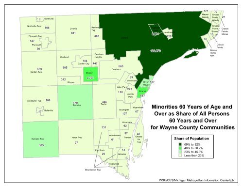 Demographic Profile of Senior in Wayne County, Michigan