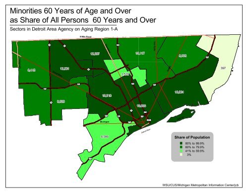 Demographic Profile of Senior in Wayne County, Michigan