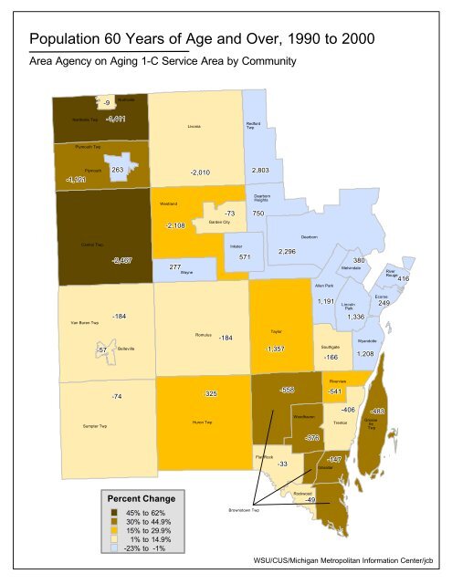 Demographic Profile of Senior in Wayne County, Michigan