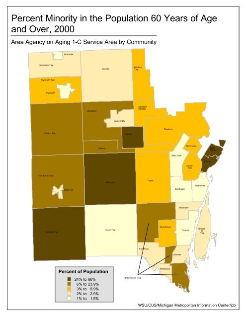 Demographic Profile of Senior in Wayne County, Michigan