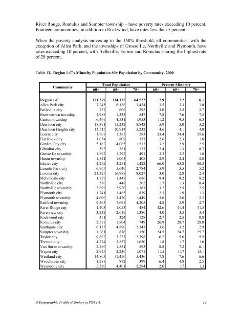 Demographic Profile of Senior in Wayne County, Michigan