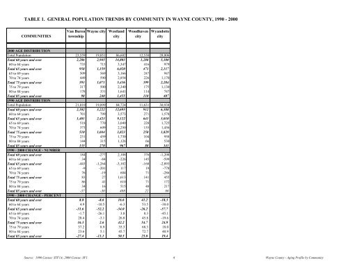 Demographic Profile of Senior in Wayne County, Michigan