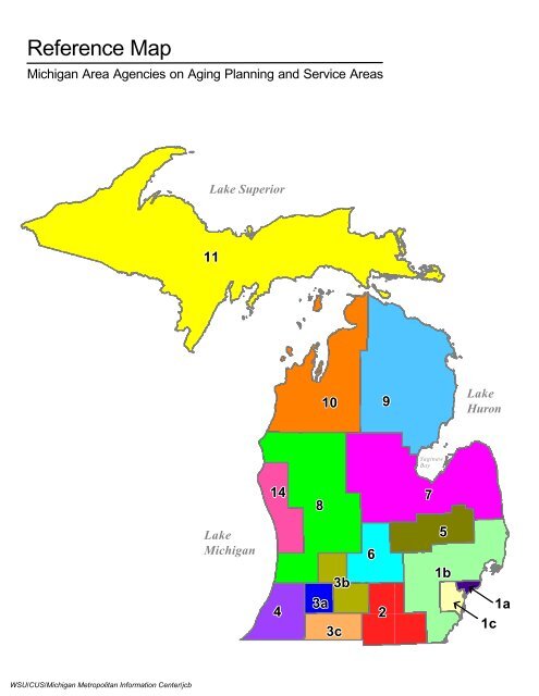 Demographic Profile of Senior in Wayne County, Michigan