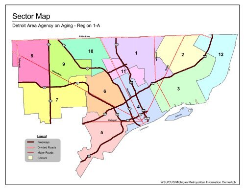 Demographic Profile of Senior in Wayne County, Michigan