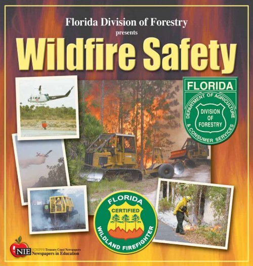 Wildfire safety brochures for educators - Volusia County Government