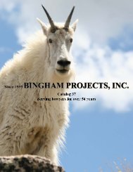 current catalog pdf - Bingham Projects