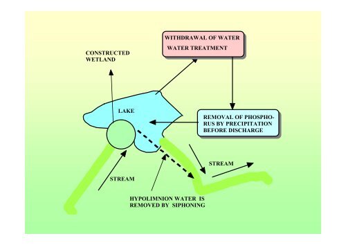 Ecological Modelling