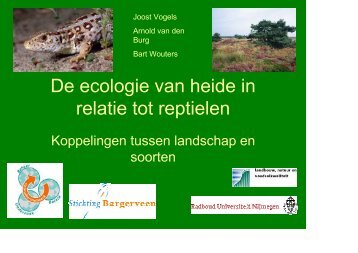 De ecologie van heide in relatie tot reptielen - VeldwerkPlaatsen