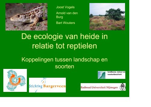 De ecologie van heide in relatie tot reptielen - VeldwerkPlaatsen