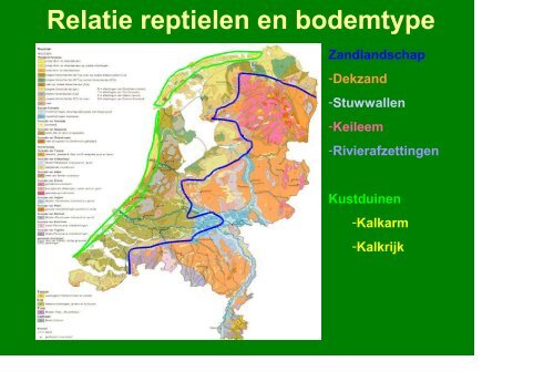 De ecologie van heide in relatie tot reptielen - VeldwerkPlaatsen