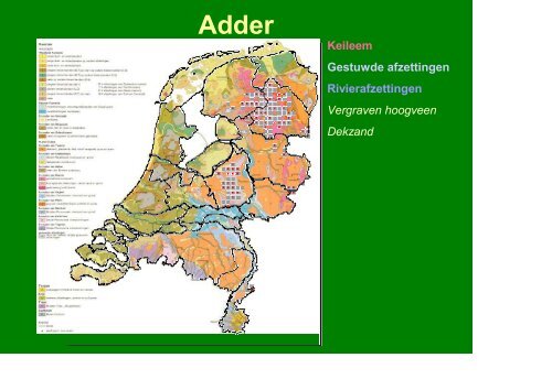 De ecologie van heide in relatie tot reptielen - VeldwerkPlaatsen