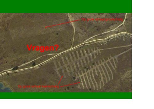 De ecologie van heide in relatie tot reptielen - VeldwerkPlaatsen