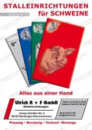 Stalleinrichtung für Rinder - Höhne GmbH
