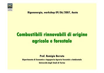 Prof. Remigio Berruto, Dipartimento di Economia ed Ingegneria ...