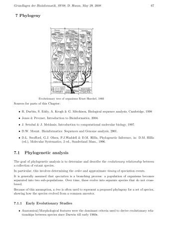 7 Phylogeny 7.1 Phylogenetic analysis - Algorithms in Bioinformatics