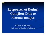 Responses of Retinal Ganglion Cells to Natural Images