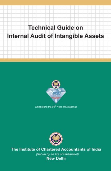 Technical Guide on Internal Audit of Intangible Assets - CAalley.com