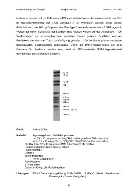 Determination of Bovine Kappa-Casein Genotype by PCR ... - Boku