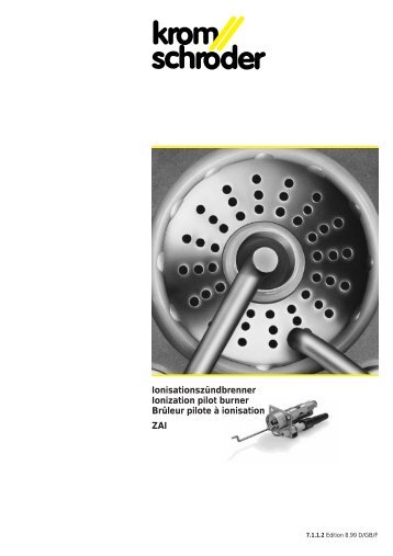 IonisationszÃ¼ndbrenner Ionization pilot burner BrÃ»leur pilote Ã  ...