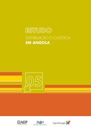 Distribuição e Logística em Angola - AIP