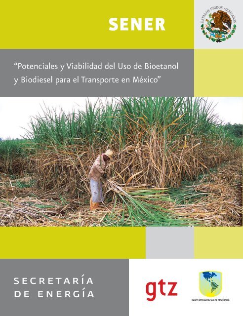 Potenciales y Viabilidad del Uso de Bioetanol y Biodiesel para el ...