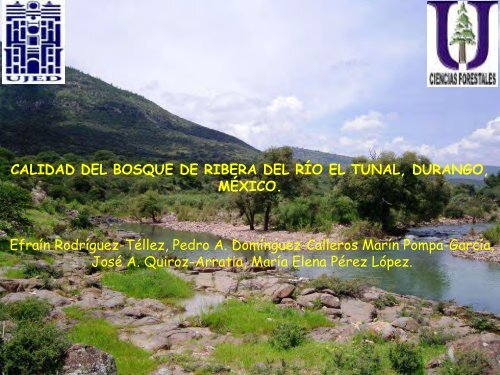Calidad del bosque de ribera del río El Tunal, Durango, México.