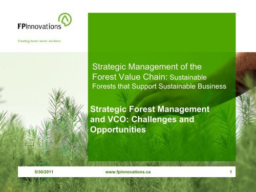 Strategic Forest Management and Value Chain Optimization - VCO