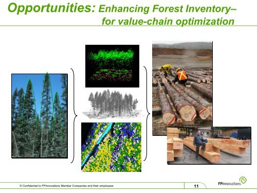 Strategic Forest Management and Value Chain Optimization - VCO