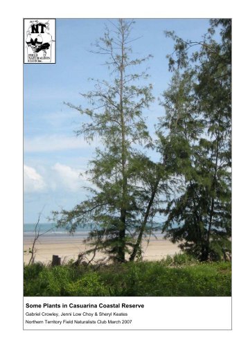 Some Plants in Casuarina Coastal Reserve - EnviroNorth