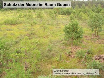 Schutz der Moore im Raum Guben - Lausitzer Braunkohle