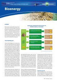 Bioenergy - SETIS - Europa