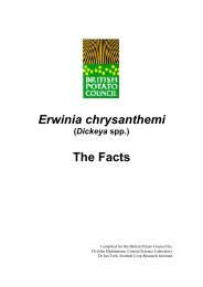 Erwinia chrysanthemi
The Facts.pdf - Potato Council