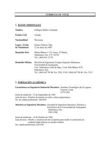 CURRICULUM VITAE 1. DATOS PERSONALES Nombre Gallegos ...