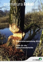 Herunterladen - Pro Natura Luzern