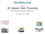 3D Seismic Data Processing - GeoNeurale