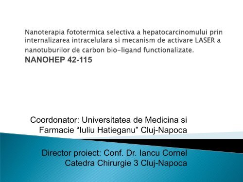 Nanoterapia fototermica selectiva a hepatocarcinomului prin