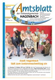 43/2013 - Verbandsgemeinde Hagenbach