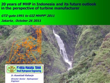 20 years of MHP in Indonesia and its future outlook