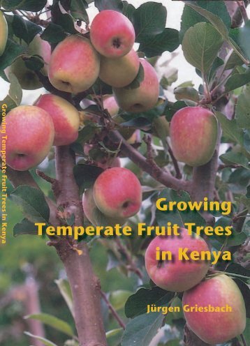 Growing Temperate Fruit Trees in Kenya JÃƒÂ¼rgen ... - NL File Storage