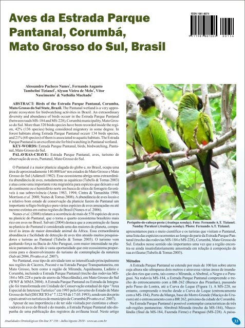 Aves da Estrada Parque Pantanal, Corumbá, Mato Grosso do Sul ...