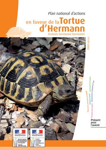 d'Hermann - Webissimo