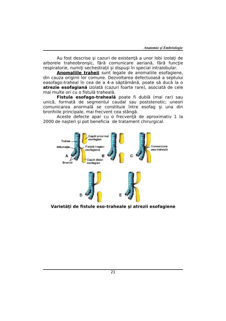 CURSUL I - Cursuri Medicina